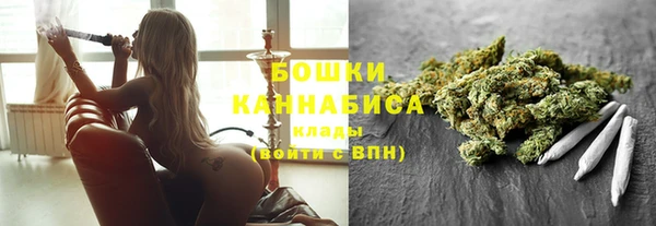 прущие крисы Каменка