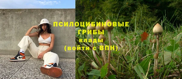 синтетический гашиш Каменск-Шахтинский