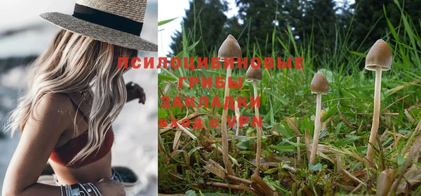 прущие крисы Каменка