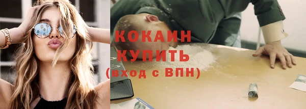 стафф Каменногорск