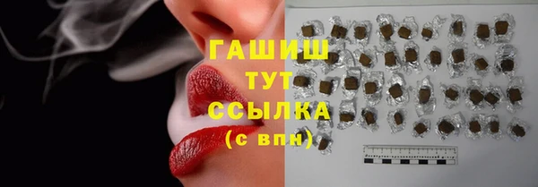 стафф Каменногорск