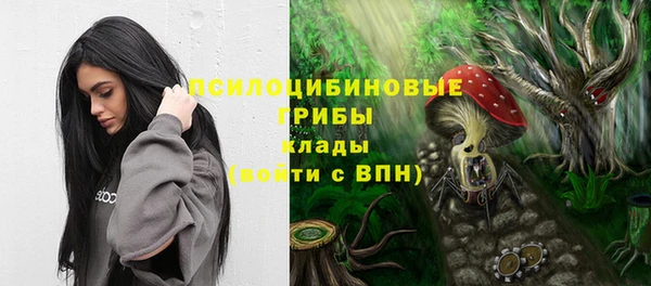синтетический гашиш Каменск-Шахтинский