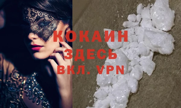сатива Карпинск
