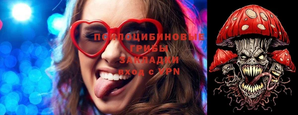 стафф Каменногорск