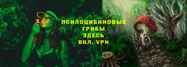 стафф Каменногорск