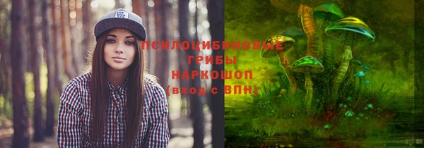 синтетический гашиш Каменск-Шахтинский